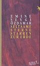 Cover: Seltsame Sterne starren zur Erde