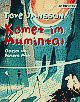 Cover: Komet im Mumintal