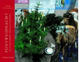 Cover: Ponyweihnacht