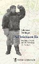Cover: Auf brüchigem Eis