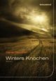 Cover: Winters Knochen