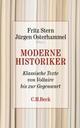 Cover: Moderne Historiker Cover: Moderne Historiker