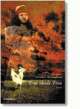 Cover: Eine ideale Frau