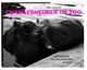 Cover: Chargesheimer im Zoo Cover: Chargesheimer im Zoo