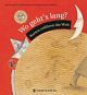 Cover: Wo geht's lang?