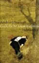 Cover: Galizische Geschichten