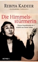Cover: Die Himmelsstürmerin Cover: Die Himmelsstürmerin