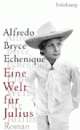 Cover: Eine Welt für Julius