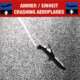Cover: Crashing Aeroplanes