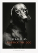 Cover: Kubrick The Dog Cover: Kubrick The Dog