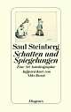 Cover: Schatten und Spiegelungen