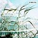 Cover: Sense / Jenseits