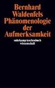 Cover: Phänomenologie der Aufmerksamkeit