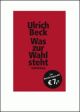 Cover: Was zur Wahl steht