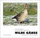 Cover: Wilde Gänse