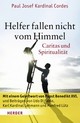 Cover: Helfer fallen nicht vom Himmel