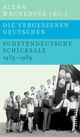 Cover: Helden der Hoffnung Cover: Helden der Hoffnung