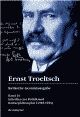Cover: Schriften zur Politik und Kulturphilosophie (1918-1923)