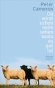 Cover: Du wirst schon noch sehen wozu es gut ist Cover: Du wirst schon noch sehen wozu es gut ist