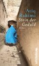 Cover: Stein der Geduld