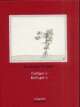 Cover: Category - Katergory Cover: Category - Katergory