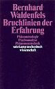 Cover: Bruchlinien der Erfahrung Cover: Bruchlinien der Erfahrung