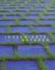 Cover: Inszenierte Naturen