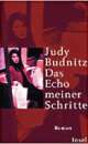 Cover: Das Echo meiner Schritte