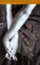 Cover: Der schwarze Schwan