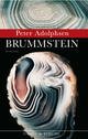 Cover: Brummstein