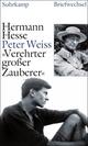 Cover: 'Verehrter großer Zauberer' Cover: 'Verehrter großer Zauberer'