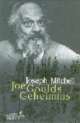 Cover: Joe Goulds Geheimnis