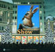 Cover: Die Weihnachts-Show