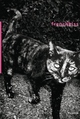 Cover: Frenchkiss