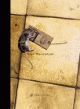 Cover: Der Mausetod Cover: Der Mausetod