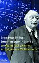 Cover: Brücken zum Kosmos