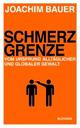 Cover: Schmerzgrenze Cover: Schmerzgrenze