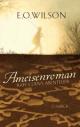 Cover: Ameisenroman Cover: Ameisenroman