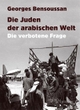 Cover: Die Juden der arabischen Welt